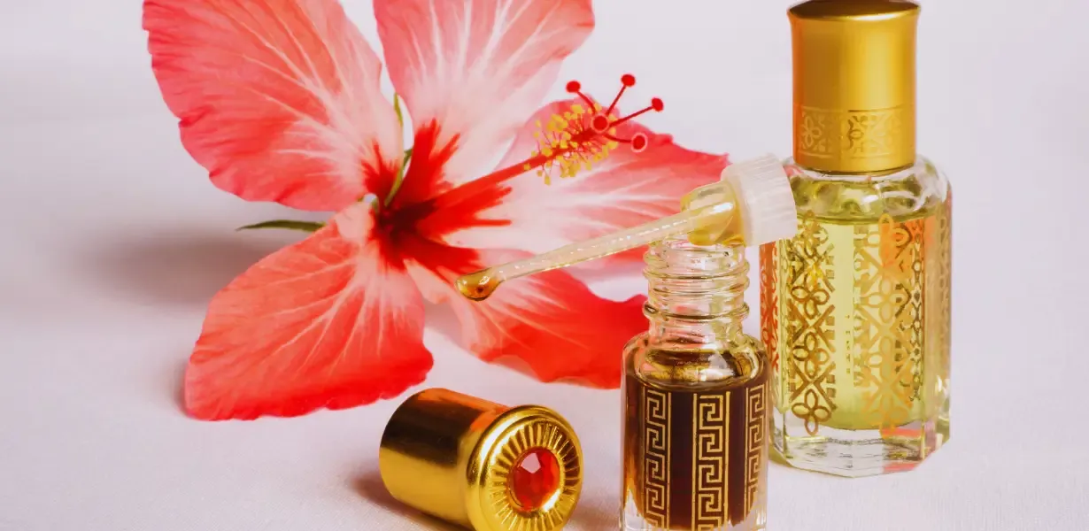 Gümrük Malları ve Orijinal Kalıcı Parfümler: Doğru Seçimle Fark Yaratın