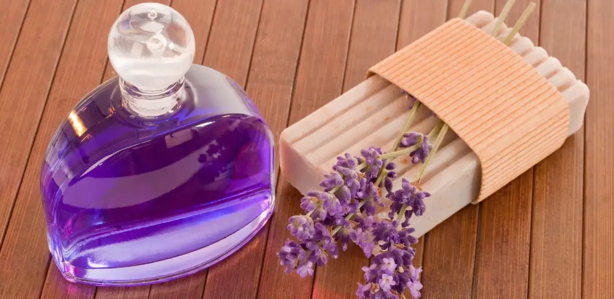 Edp, Edt, Edc Parfüm Ne Demek?