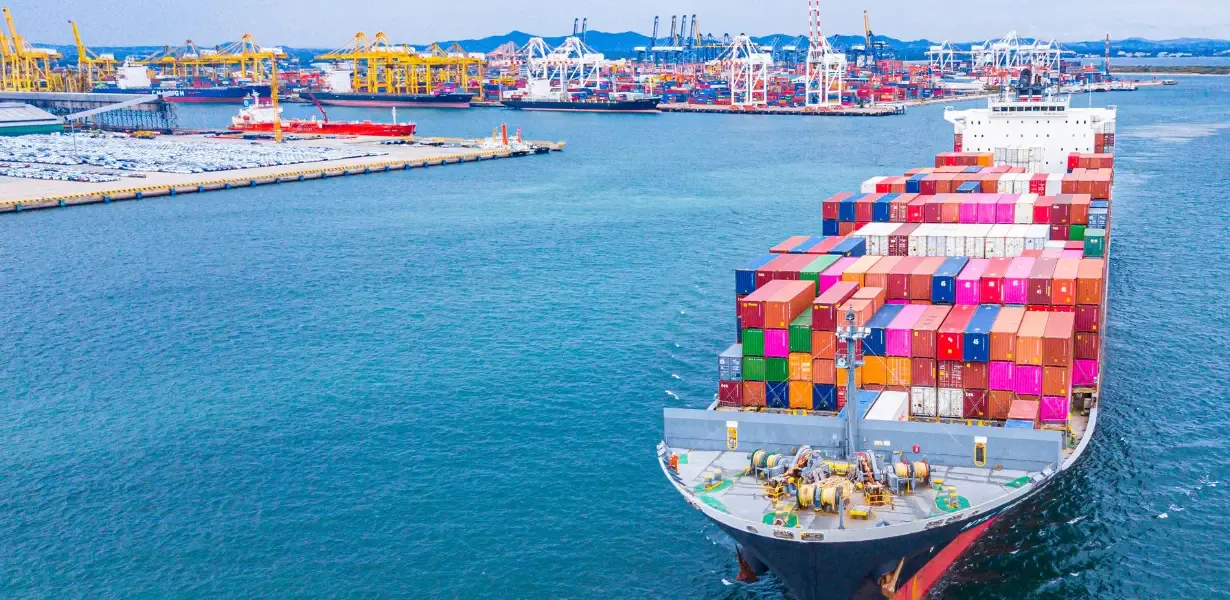 Gümrük İhalesine Nasıl Girilir?