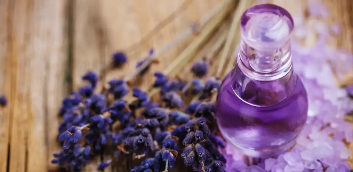 Parfüm Markası Nasıl Seçilir? Nelere Dikkat Edilir?