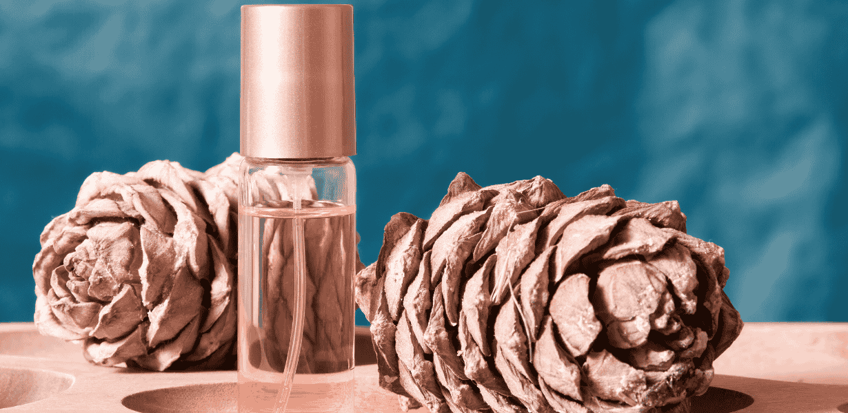 En İyi Parfüm Hangisi