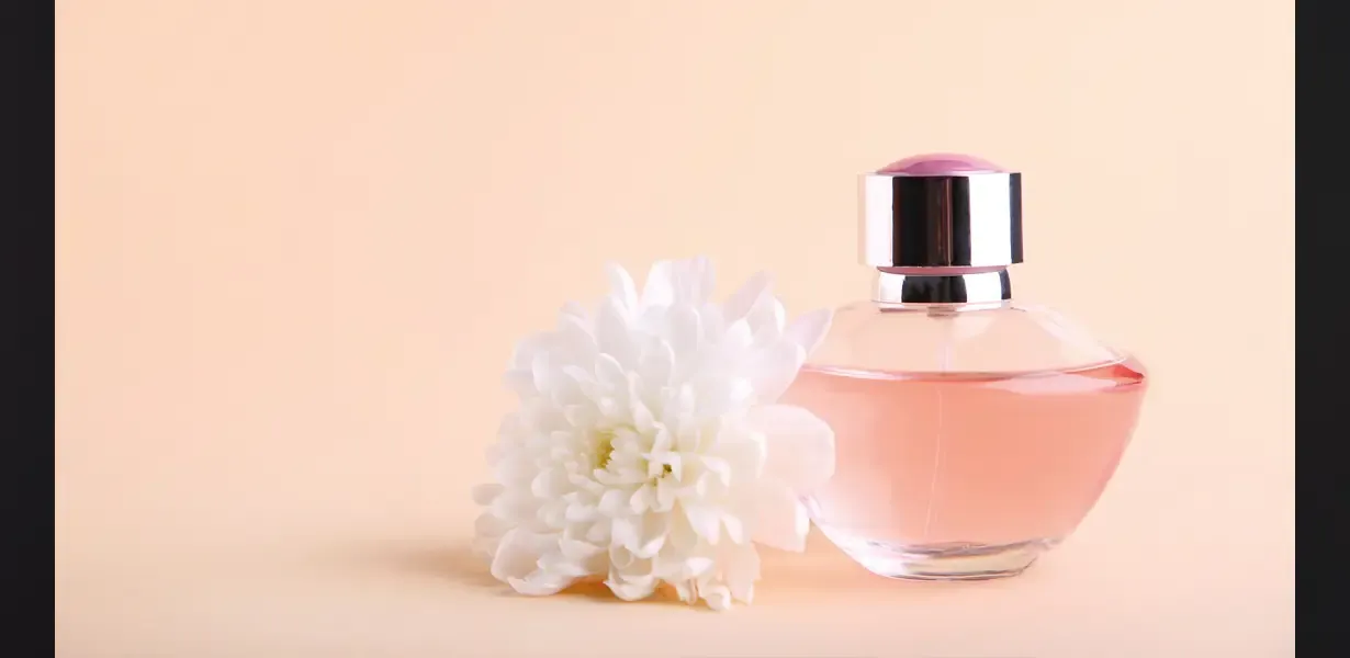 Kokular Hakkında Ne Biliyorsunuz ?