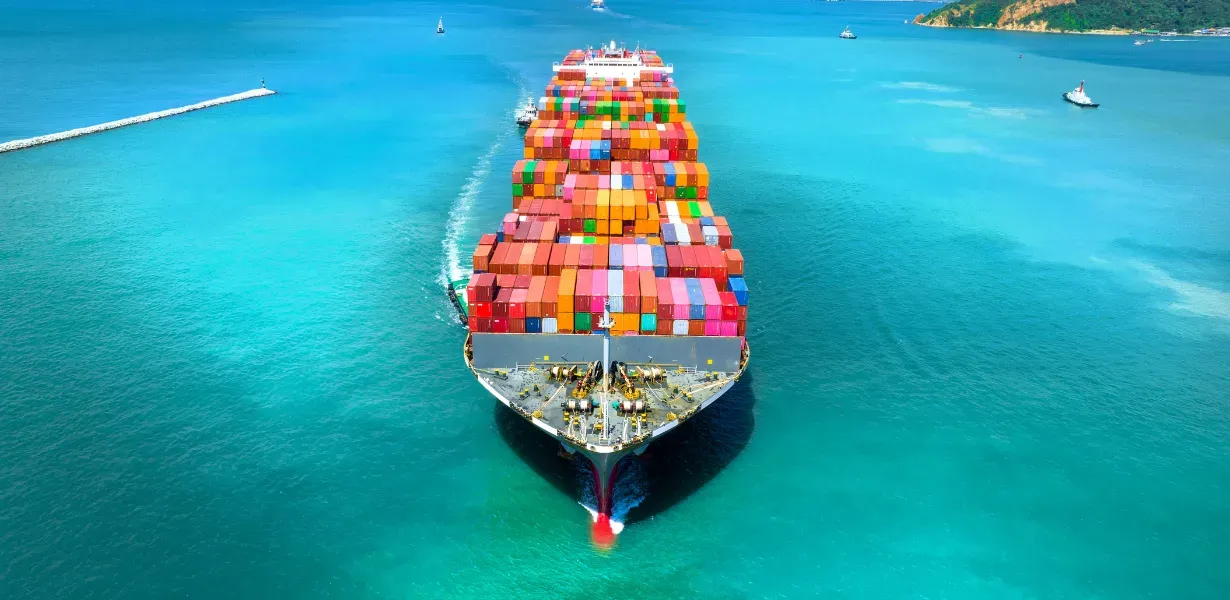 Fırsat Avcıları İçin Gümrük Malları Rehberi 2025 Güncel