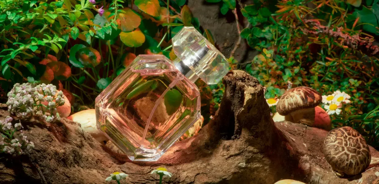 Gümrük Malları ve Orijinal Ürünler: Parfüm, Kozmetik, Kadın Giyim, Elektronik ve Çantalarla Alışverişin Keyfini Çıkarın