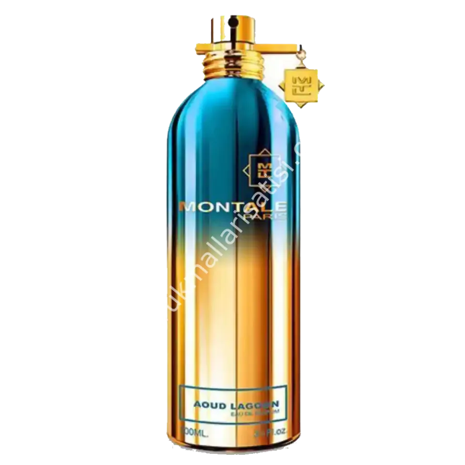 Montale Spray Aoud Lagoon EDP Unisex Tester Parfum 100 Ml