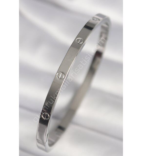 316L Çelik Gümüş Renk Cartier Model Kadın Bileklik