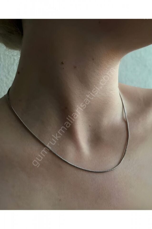 Çelik Silver Tilki Kuyruğu Zarif Tiny 45 cm Zincir