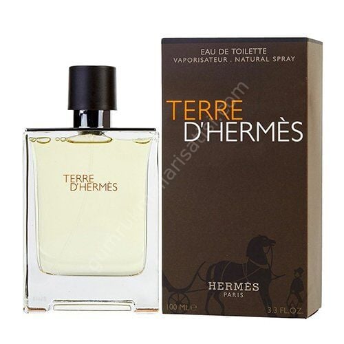 Hermes Terre Edt Erkek Parfüm 100 Ml