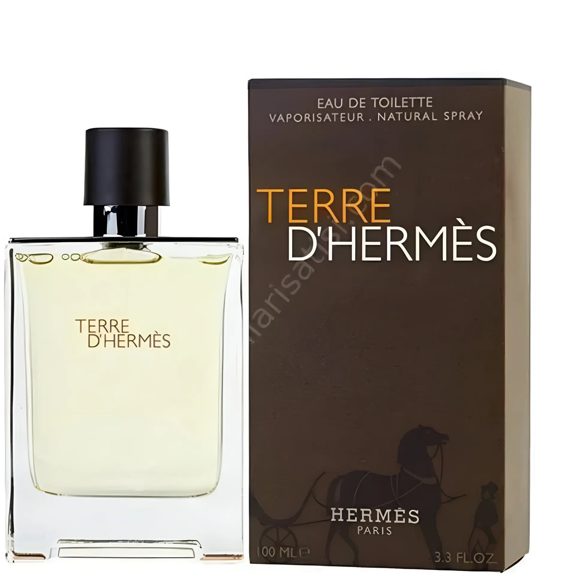 Hermes Terre Edt Erkek Parfüm 100 Ml